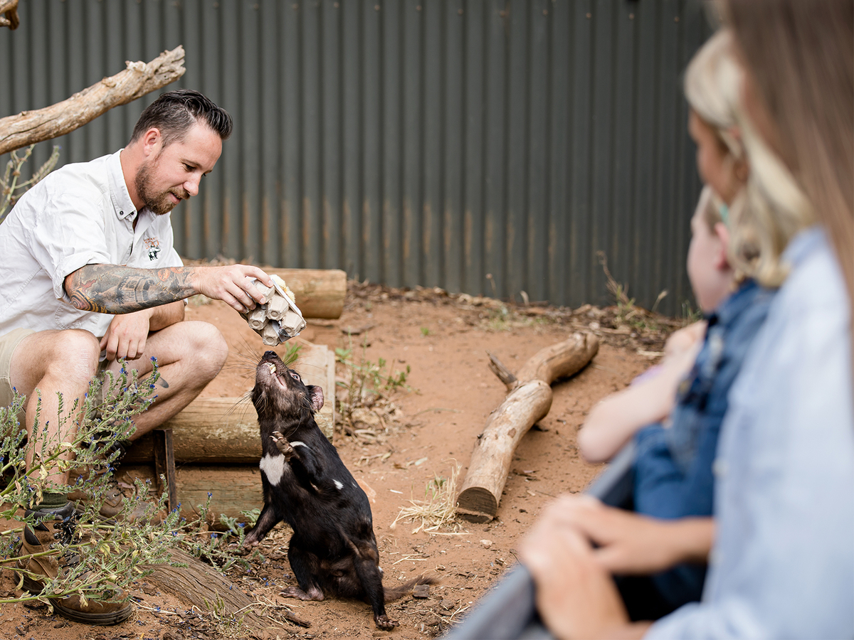 A Devilish Native Experience at Monarto Safari Park dFp6B4Y2