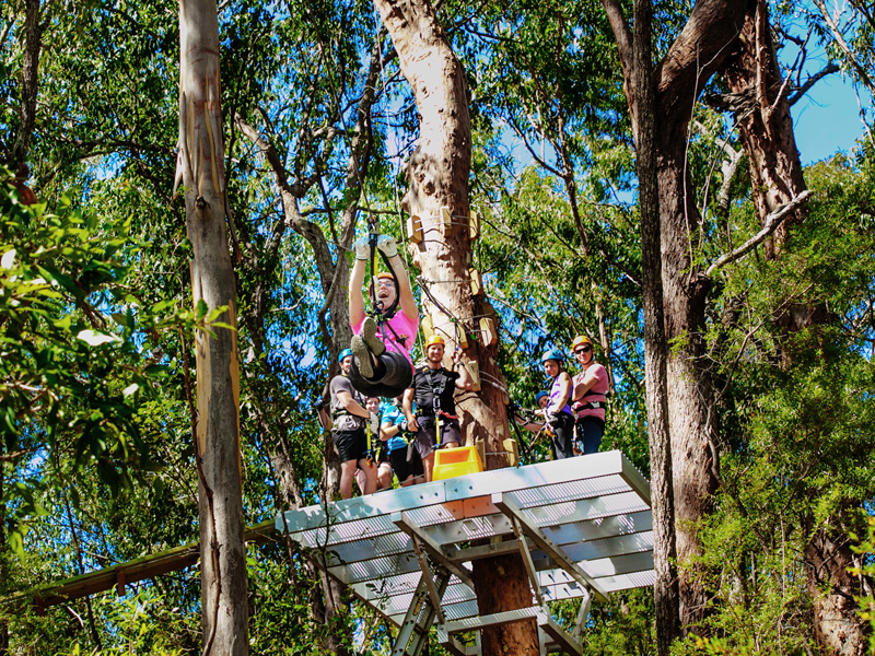 Gold Coast Canyon Flyer Guided Zipline Tour sdAdCLtj