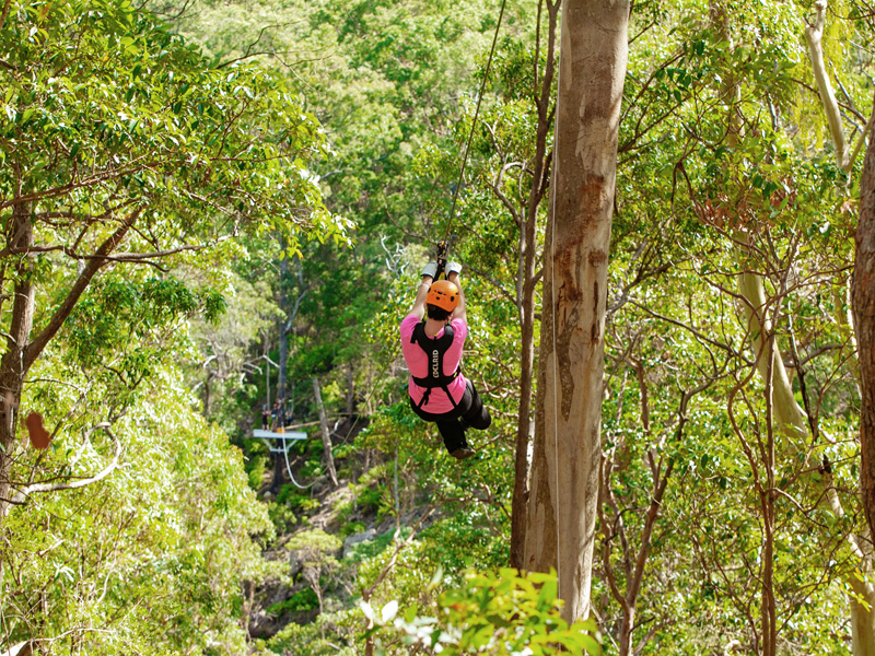 Gold Coast Canyon Flyer Guided Zipline Tour z5NExAk2-backdrop