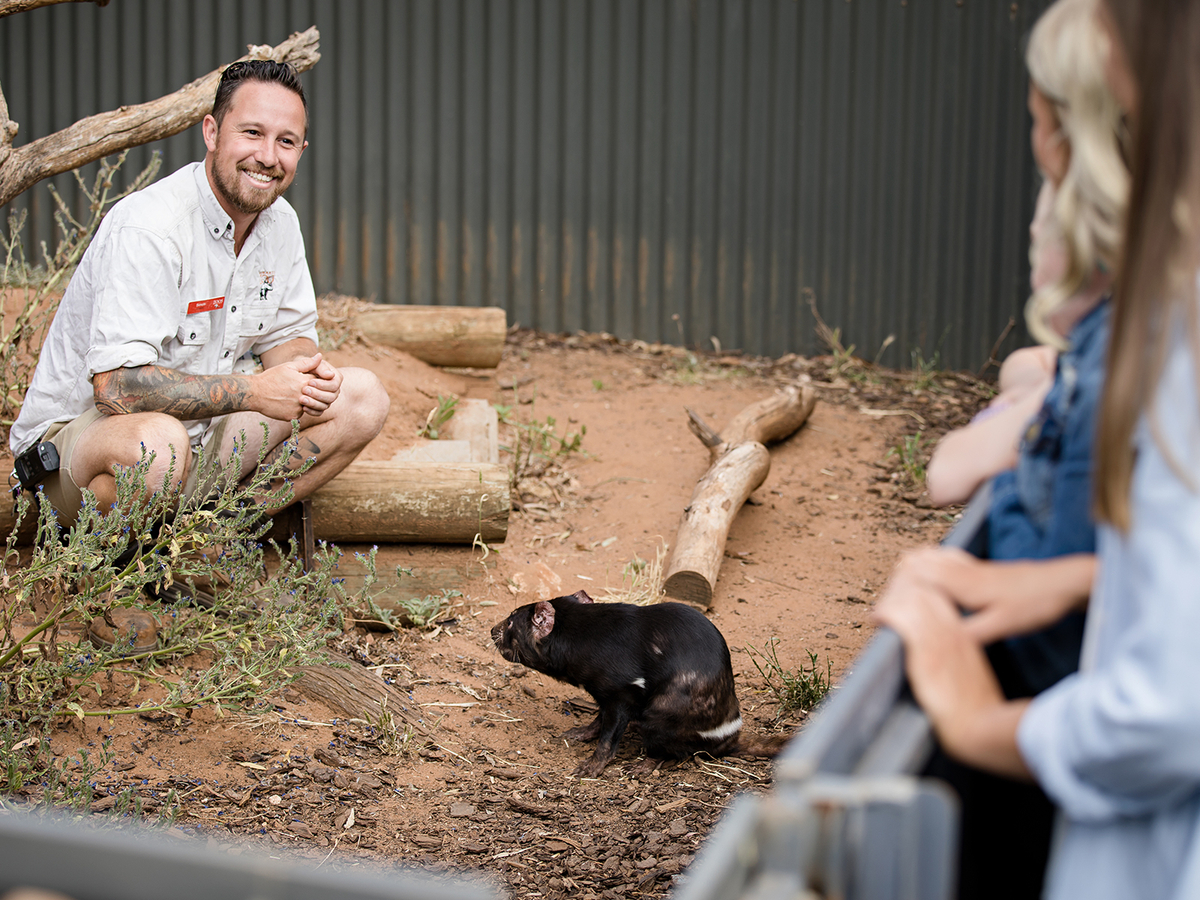 A Devilish Native Experience at Monarto Safari Park 2HqcrE4j