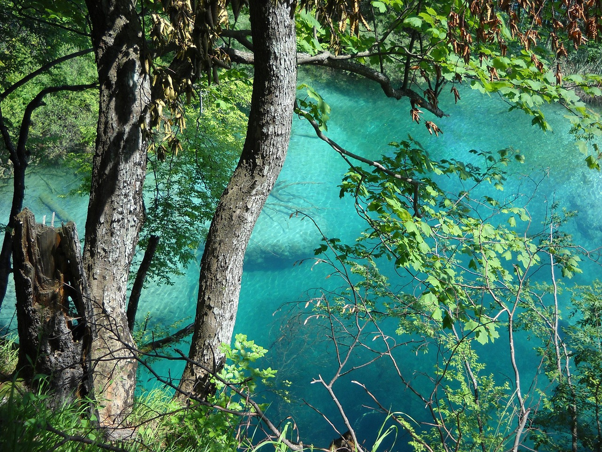 Plitvice Lakes National Park from Split wsE5UXKk