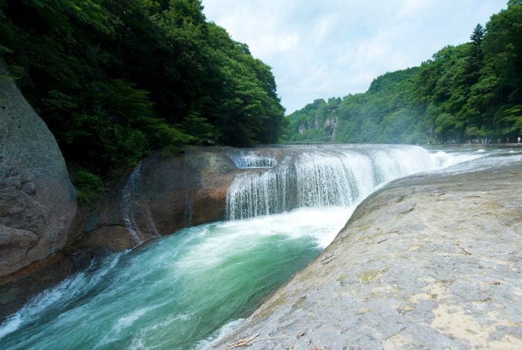 Gunma Flower Viewing/Onsen/Snow Play Tour with Fruit Picking ALuo8vb6