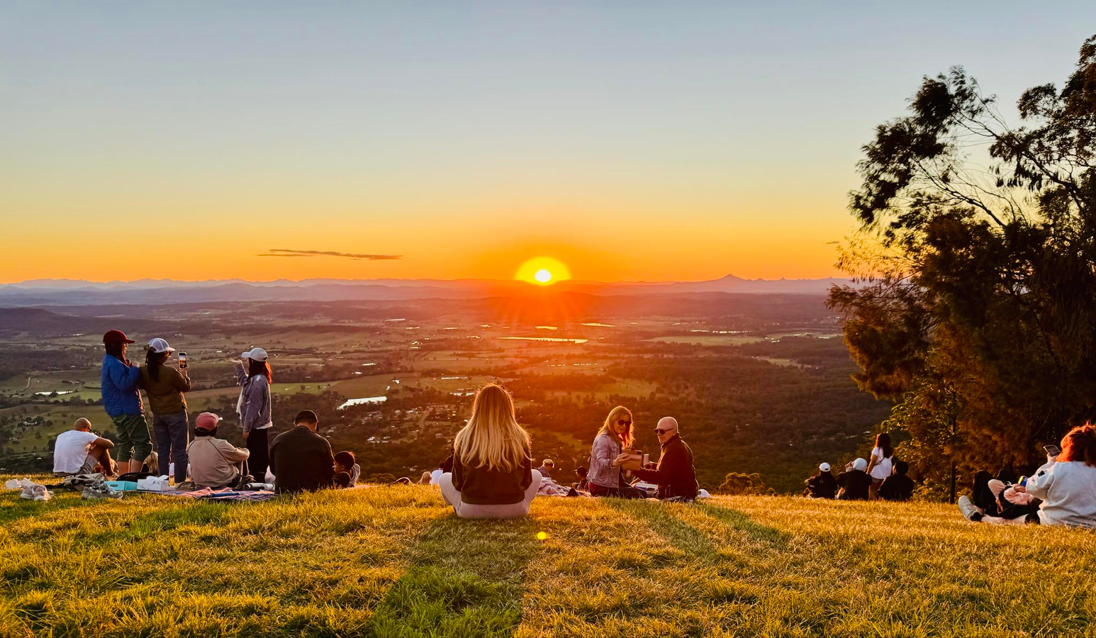 Brisbane: Tamborine Mountain Glow Worms, Sun Set, Star Gazing & BBQ DCPIygIT
