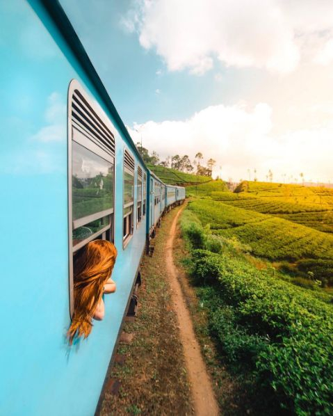 Kandy to Nuwara Eliya Scenic Train First Class Reserved Seats 4gCI6kH0