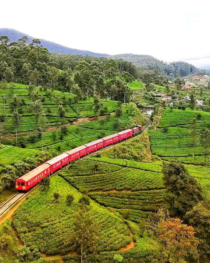 Kandy to Nuwara Eliya Scenic Train First Class Reserved Seats 9O0inVj5