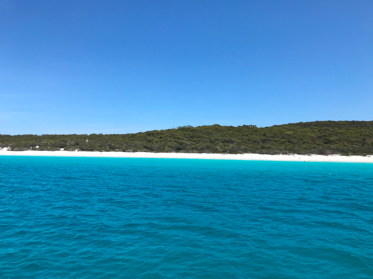 Jervis Bay Dolphin Watch Cruise Tour kBrYWQuj