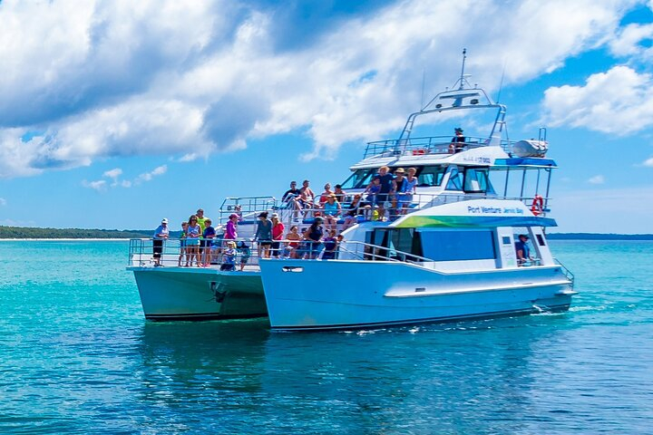 Jervis Bay Dolphin Watch Cruise Tour zxnFQH1h-backdrop