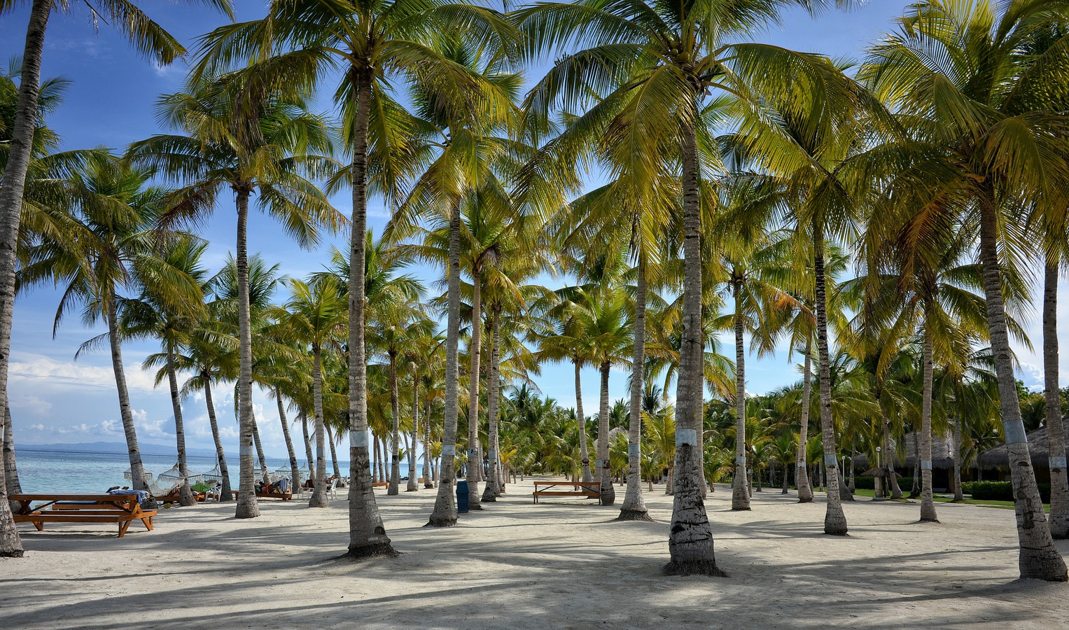 Panglao Island Land Tour zRmgIwoA