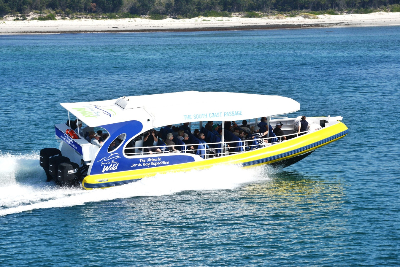 Jervis Bay Whale Watching Cruise AkqxFzpY
