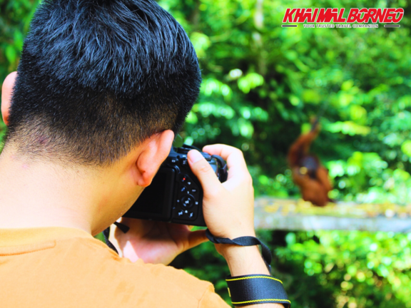Sarawak Semenggoh Orang utan + Jong Crocodile Entry Ticket ZKU0WiVa