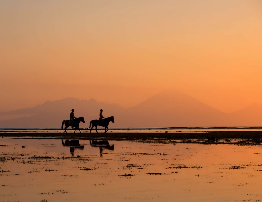 Gili Trawangan Sunset or Sunrise Beach Horse Riding Experience bGONOGPn