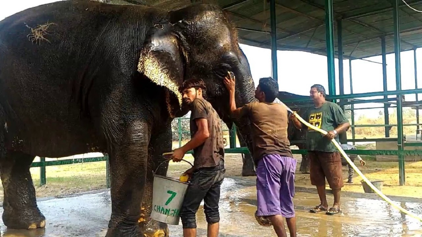 Explore The Taj Mahal With Elephant Conservation Rescue Centre 2h2xOvei