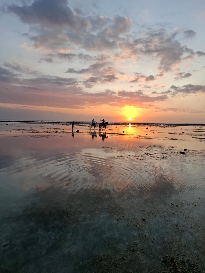 Gili Trawangan Sunset or Sunrise Beach Horse Riding Experience QVtJN3Kz