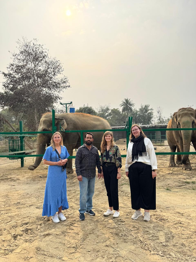 Explore The Taj Mahal With Elephant Conservation Rescue Centre bvf0SeoW
