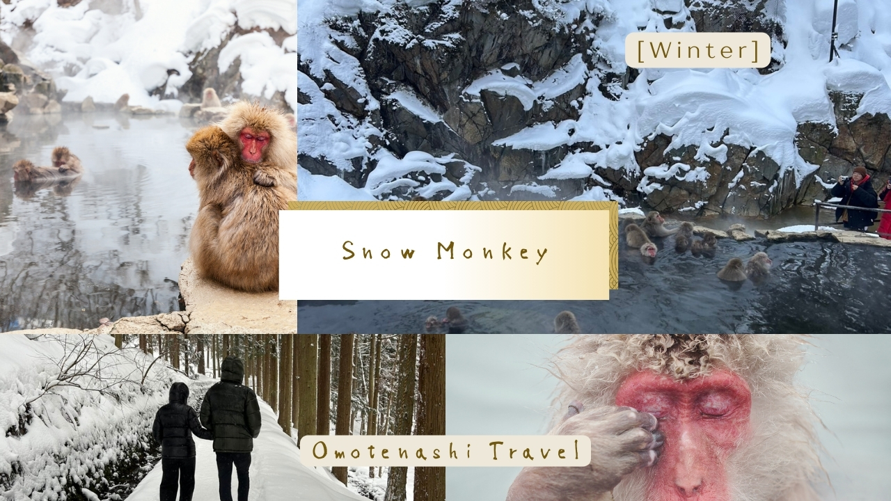 Nagano Private Seasonal Tours With A Local Guide rRRC6YmA
