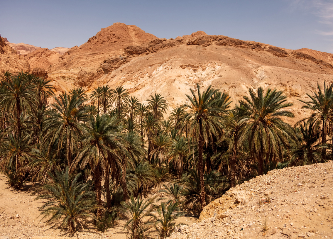 6-Days Private Tour To Marrakech Via Merzouga Desert From Tangier 8cSFazof