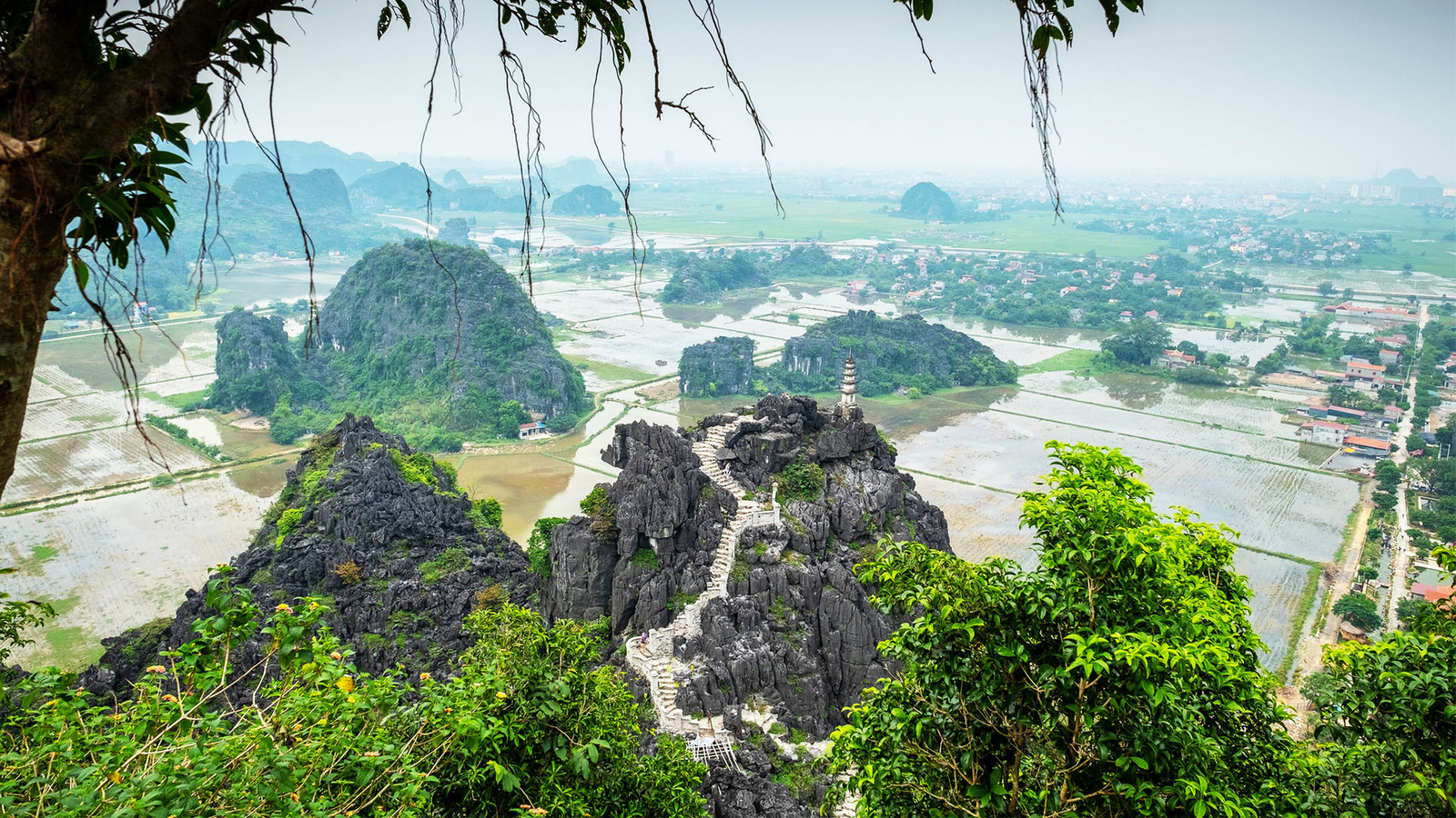 Hoa Lu, Tam Coc, Mua Cave Day Tour from Hanoi 0TEcfO3T