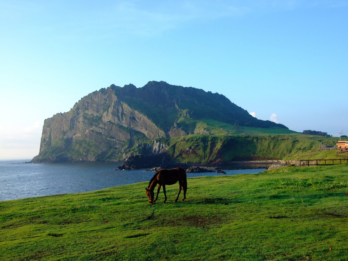 For Cruise Guests Jeju Layover UNESCO Day Tour xlyl0PrL