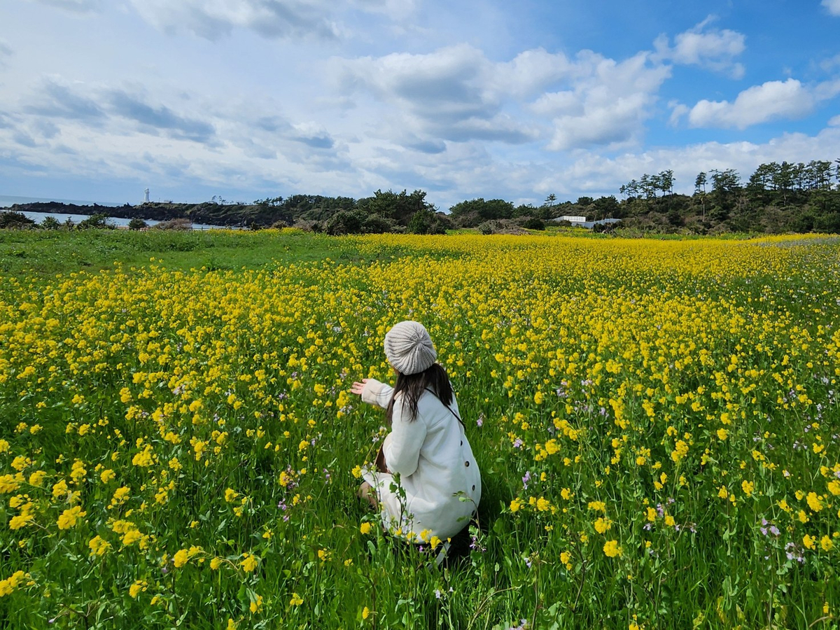 Jeju island Charms Join in Day Tour with 3 Route (E,S,WS), Hallasan 0NrUl7ys-backdrop