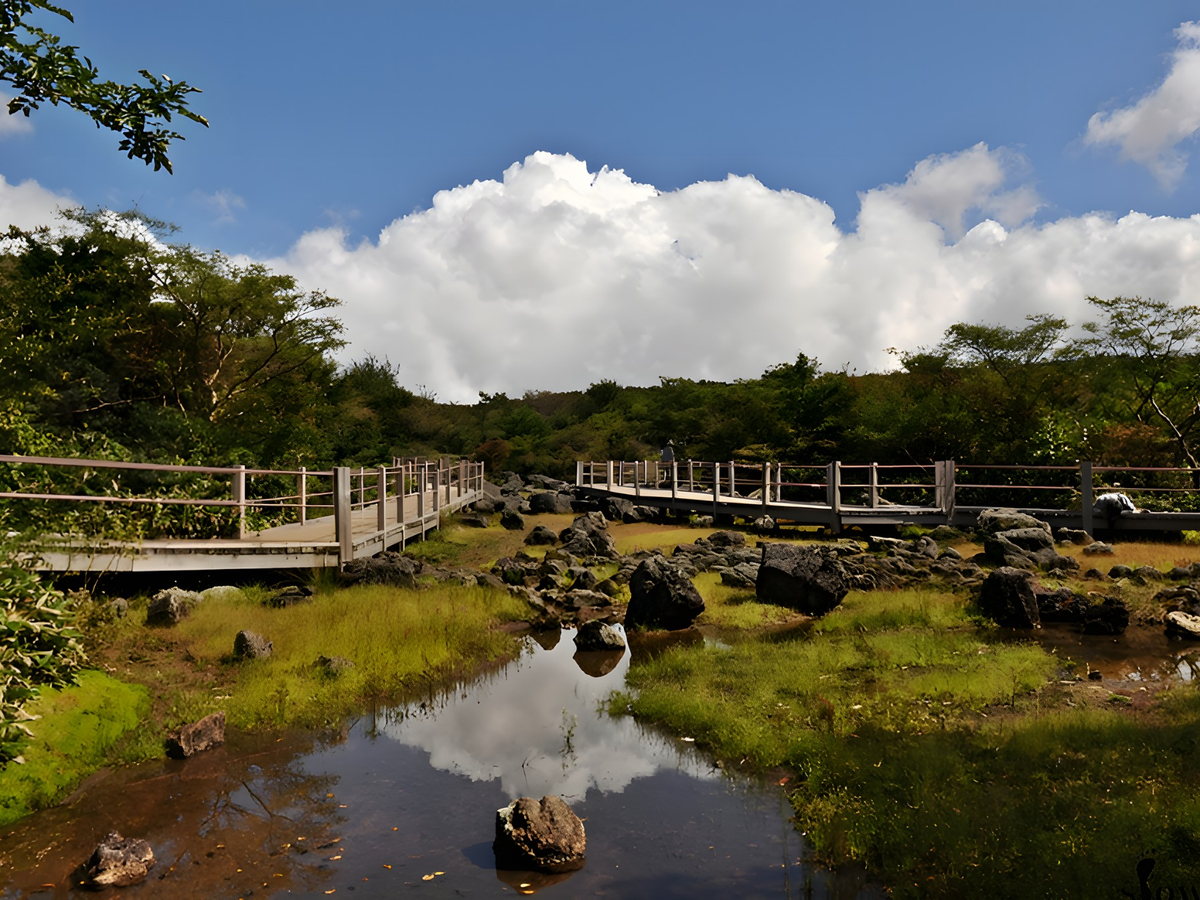 Jeju WEST & SOUTH One day Tour C7D9aJl5