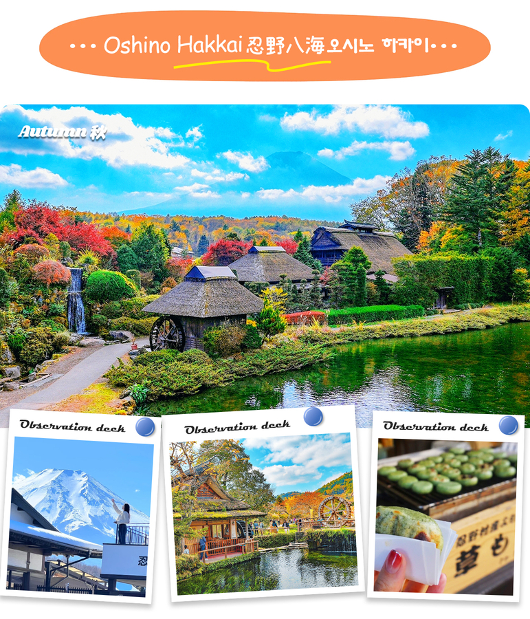 Mt. Fuji Classic Tour|Arakurayama Sengen Park/Mt. Fuji Fifth Station Oshino Hakkai & Gotemba Outlets/Hot Springs Day Tour|Depart from Tokyo/Shinjuku FKAaQt2s