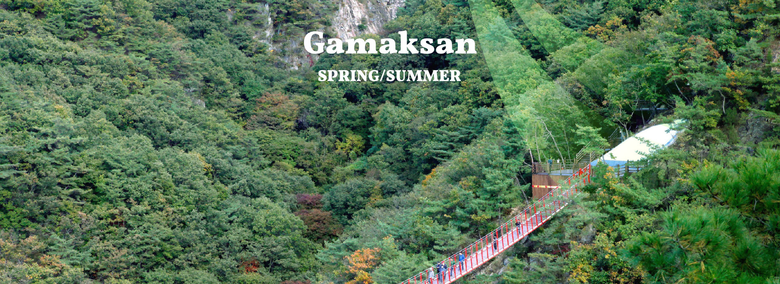 Seoul City & Seasonal Hot Attractions One Day Tour 50% Off Entry