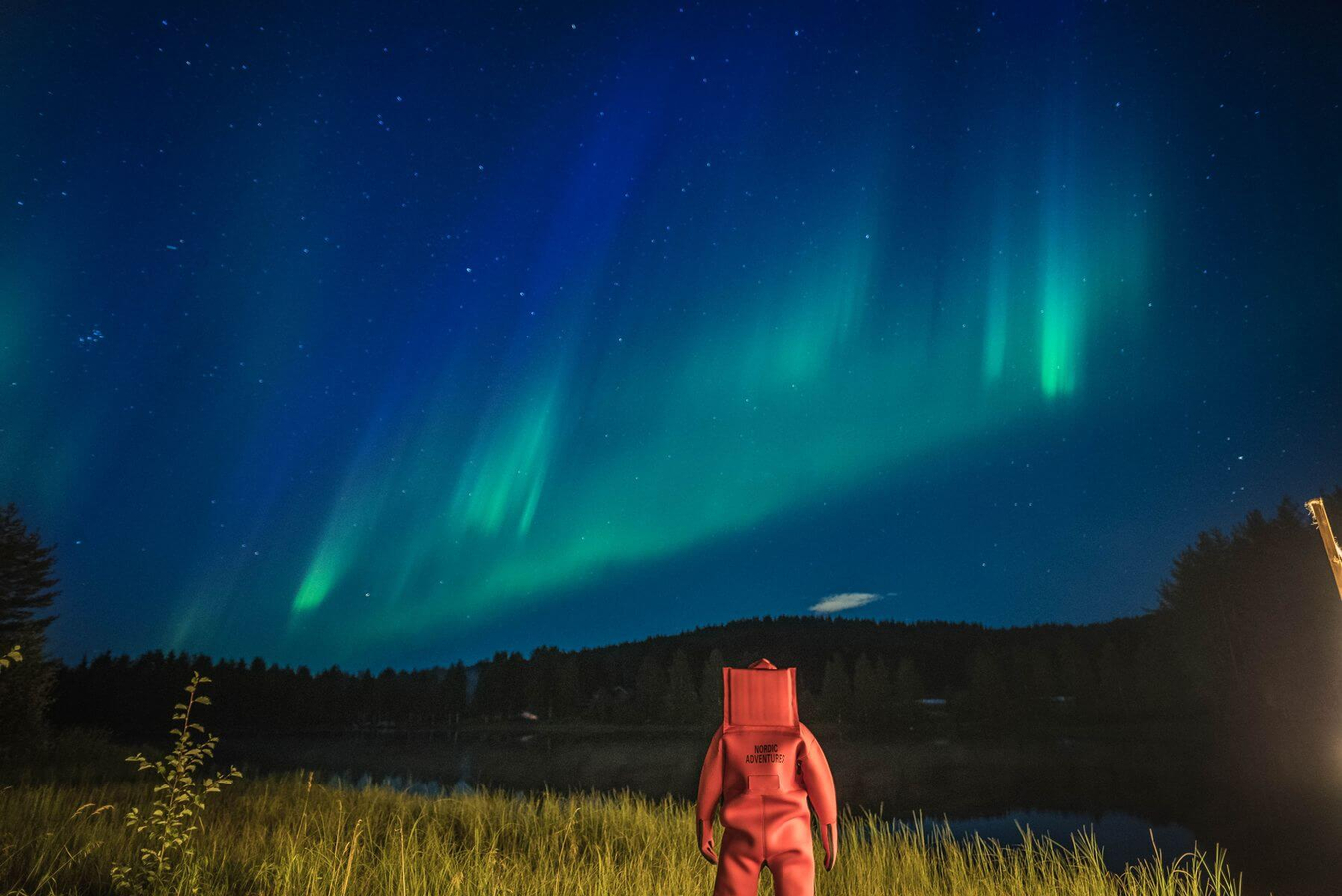Tiket Aurora Arctic Ice Floating Tour in Rovaniemi: Witness Northern ...