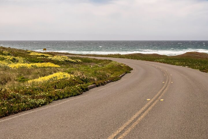 Tiket Self-Guided Audio Driving Tour of Point Reyes National Seashore ...