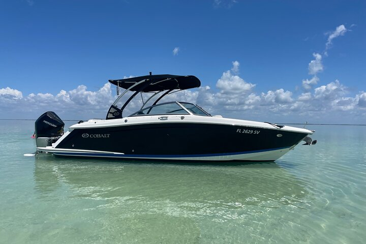 Key Largo Sunset Key Largo Bay Sunset Tour 2024 Promo Up to 7%