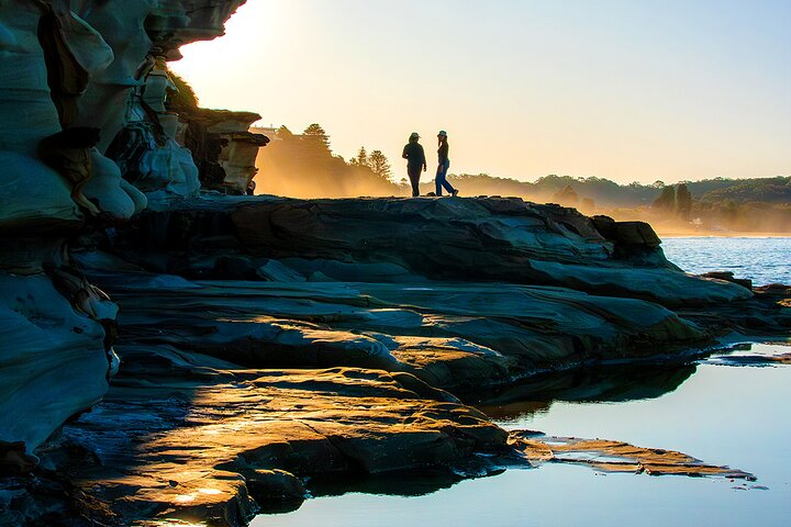 Tiket Horse Riding, Koalas & Kangaroos - Wild Australia: Private Tour ...