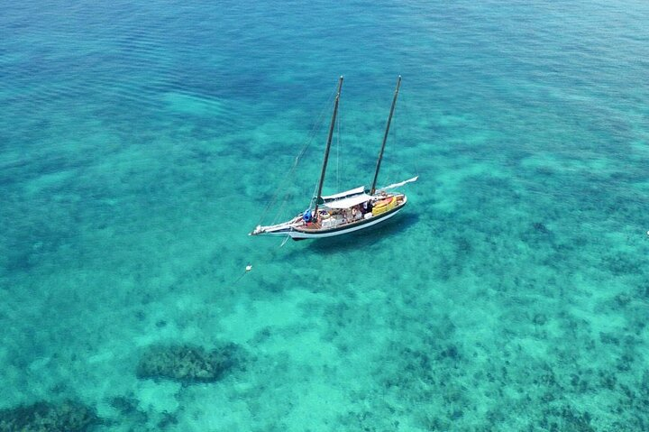 Get Ticket Key West Schooner Backcountry Eco Tour Sail Snorkel and ...