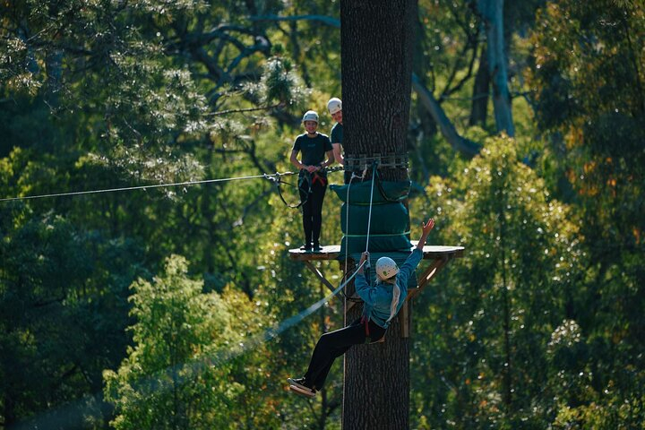 Busselton High Ropes and Zipline Adventure Diskon 50% Harga Tiket Masuk