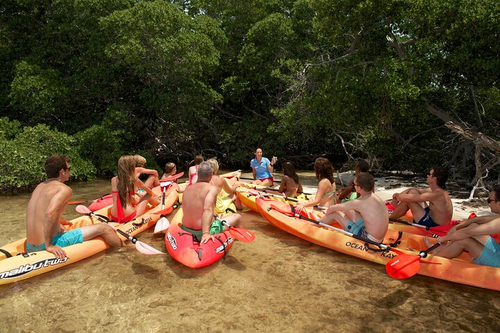 Island Adventure Snorkel Kayak and Tour from Key West 2024 Promo Up to ...