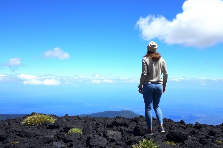 Tiket Hilo and Volcano National Park Tour for Cruise Passengers at port