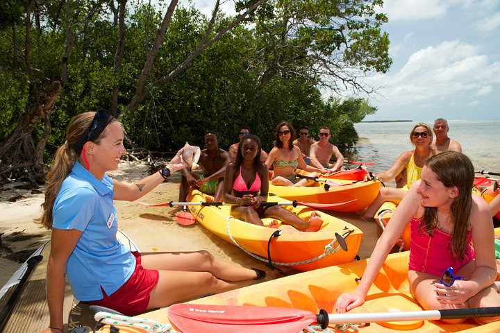 Island Adventure Snorkel Kayak and Tour from Key West 2024 Promo Up to ...