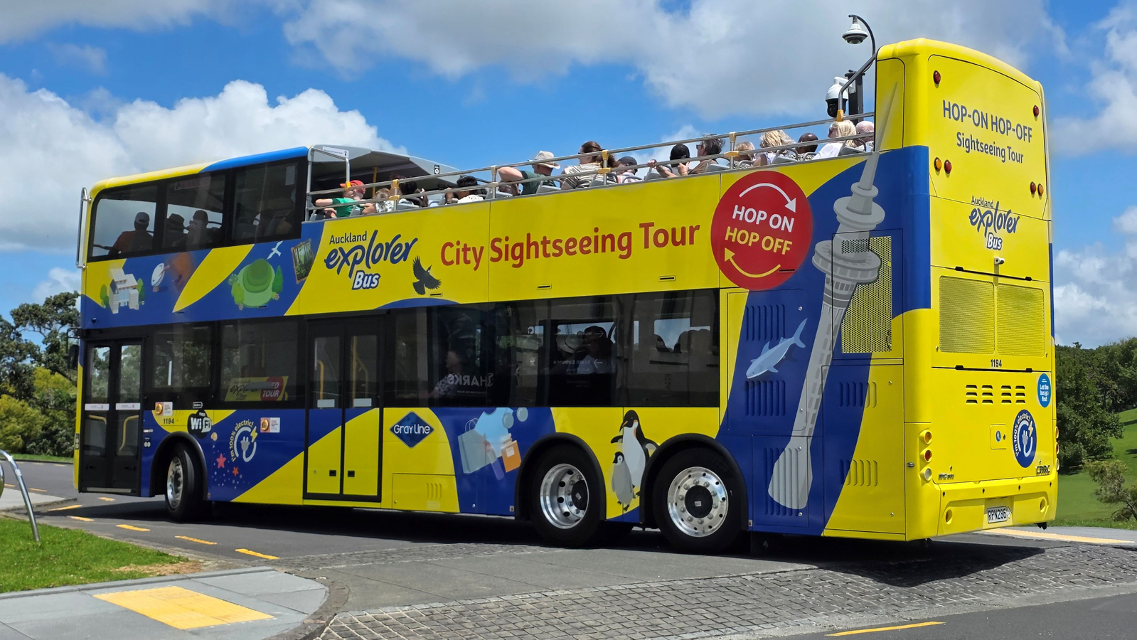 Auckland Explorer Bus Hop-On Hop-Off Pass 50% Off Tour Package