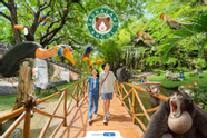 activities image 3
