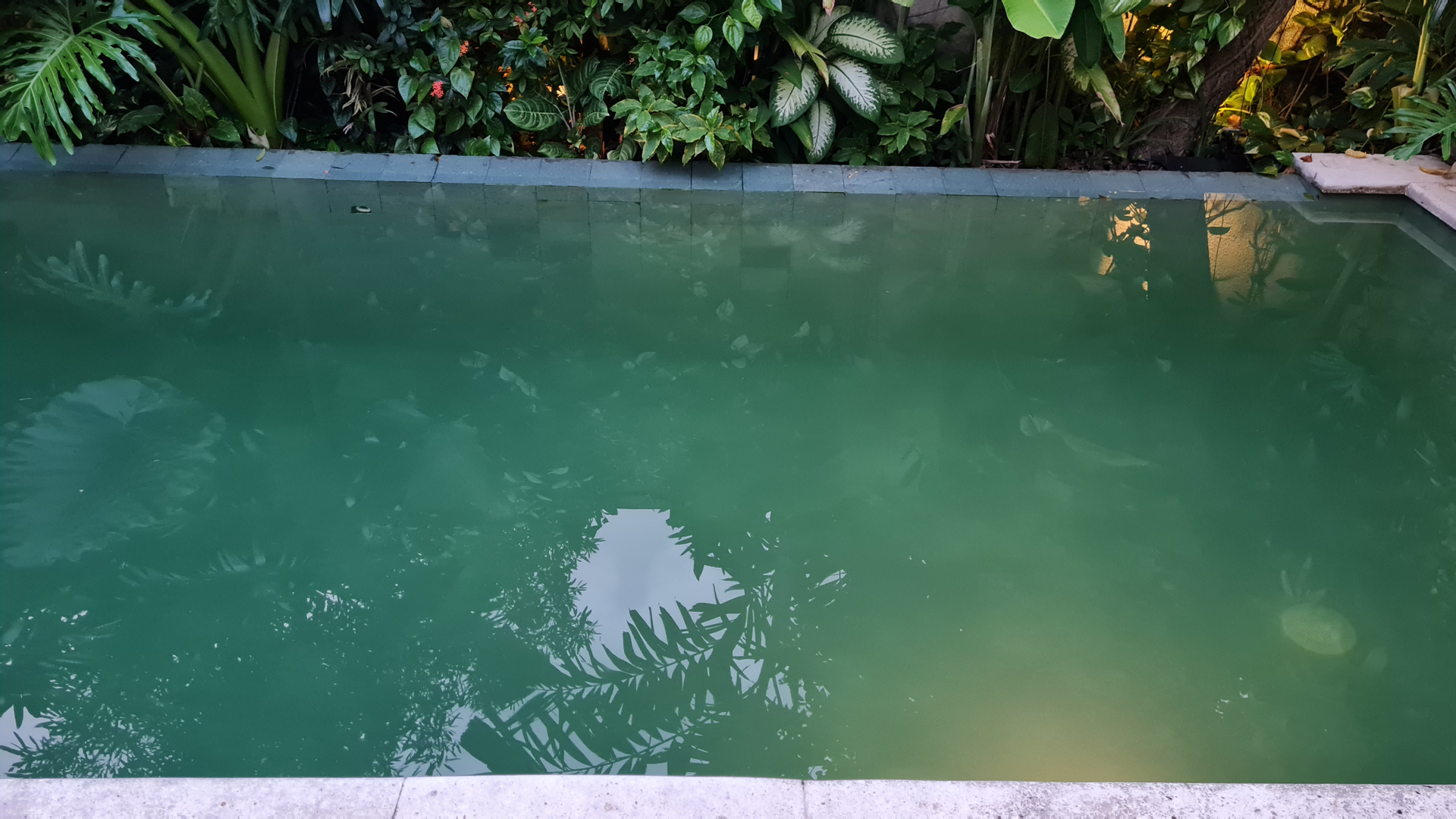 userImage-18