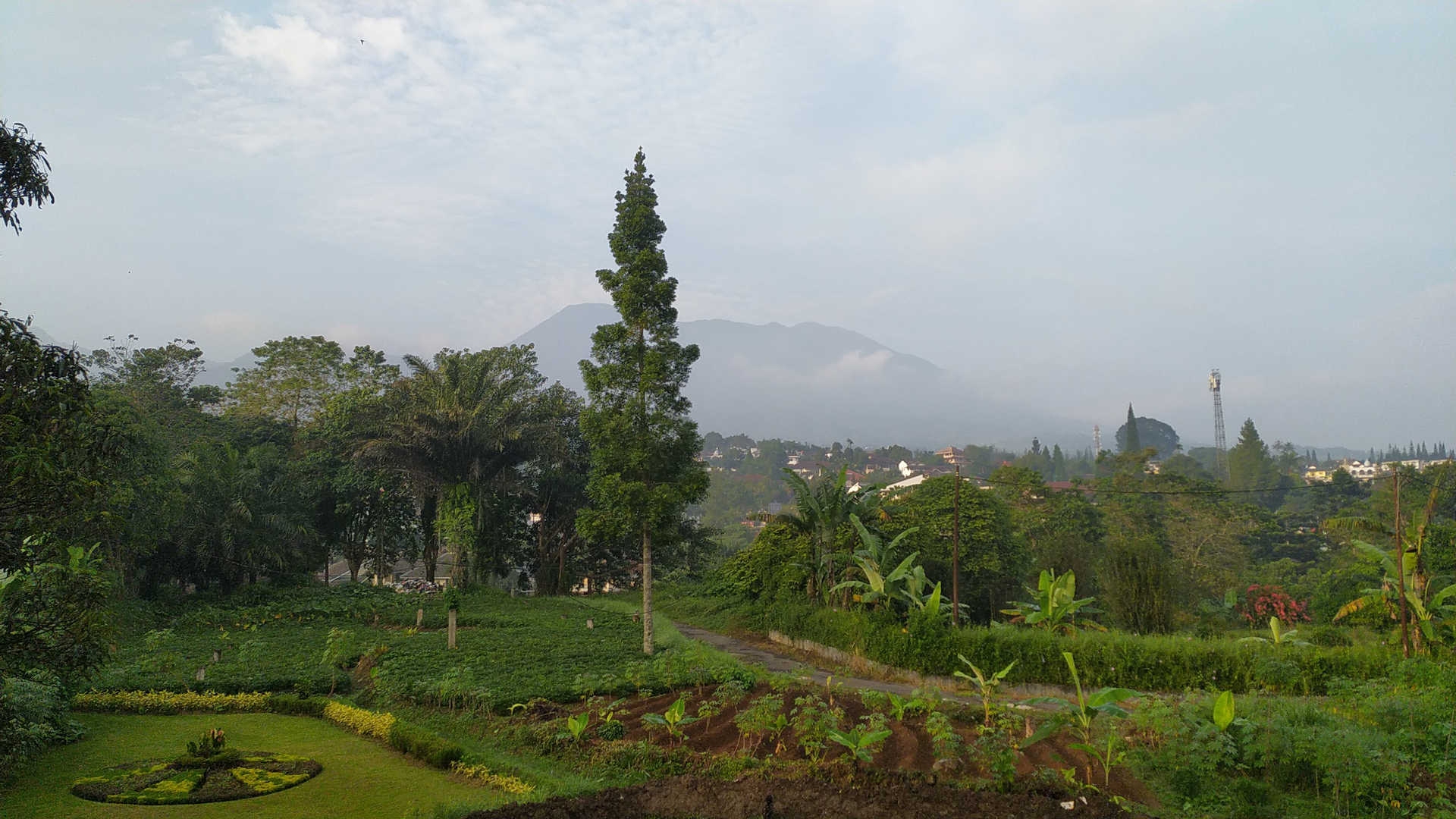 userImage-6