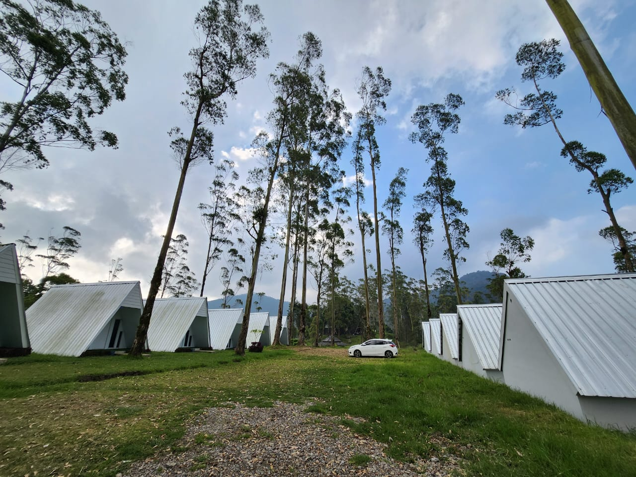 userImage-10
