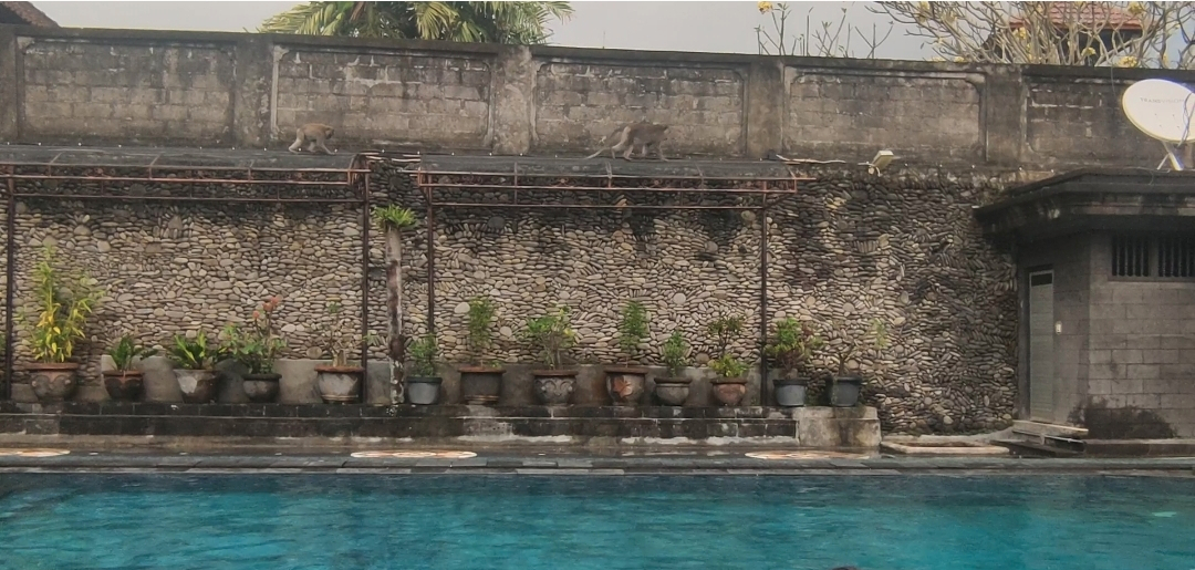 userImage-7