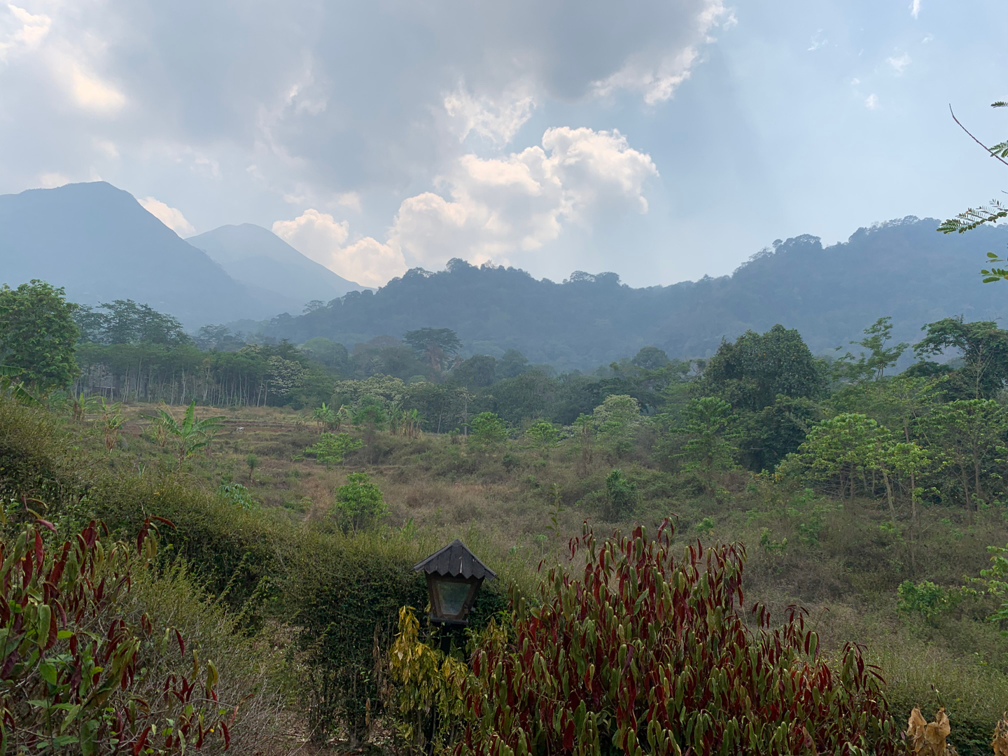 userImage-8