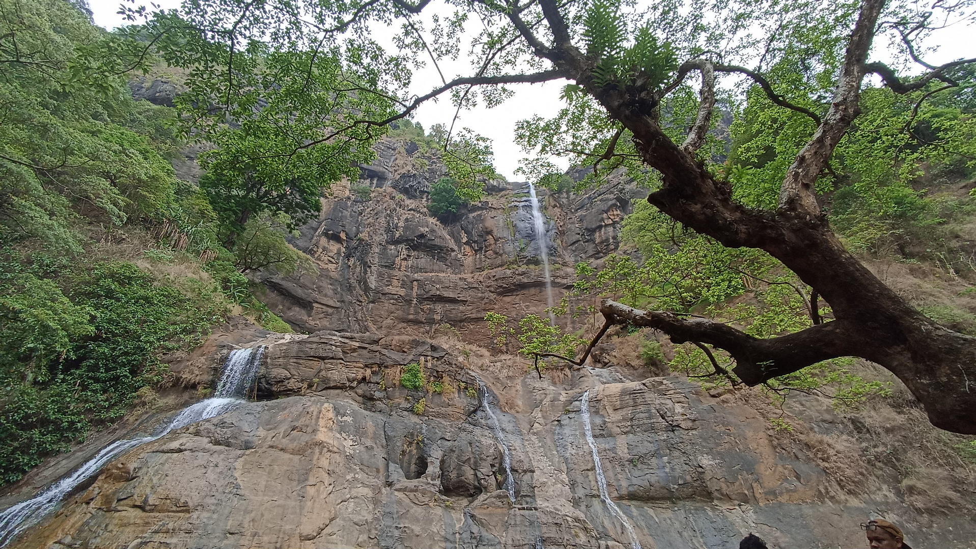 userImage-4