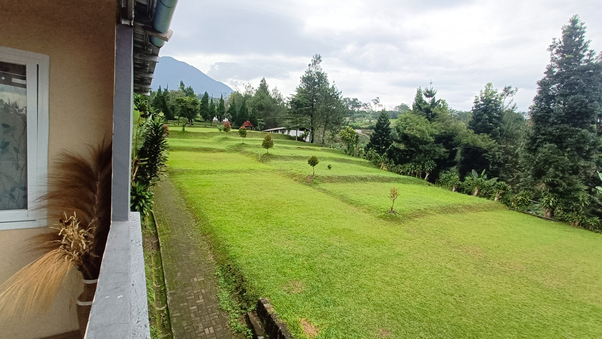 userImage-10