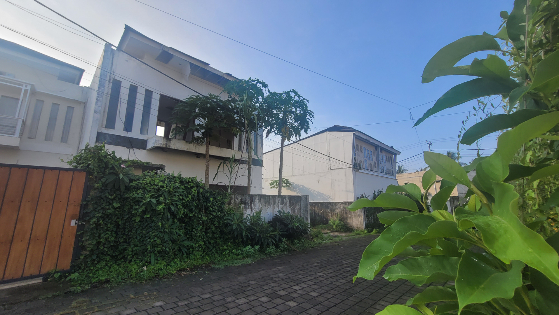 userImage-2