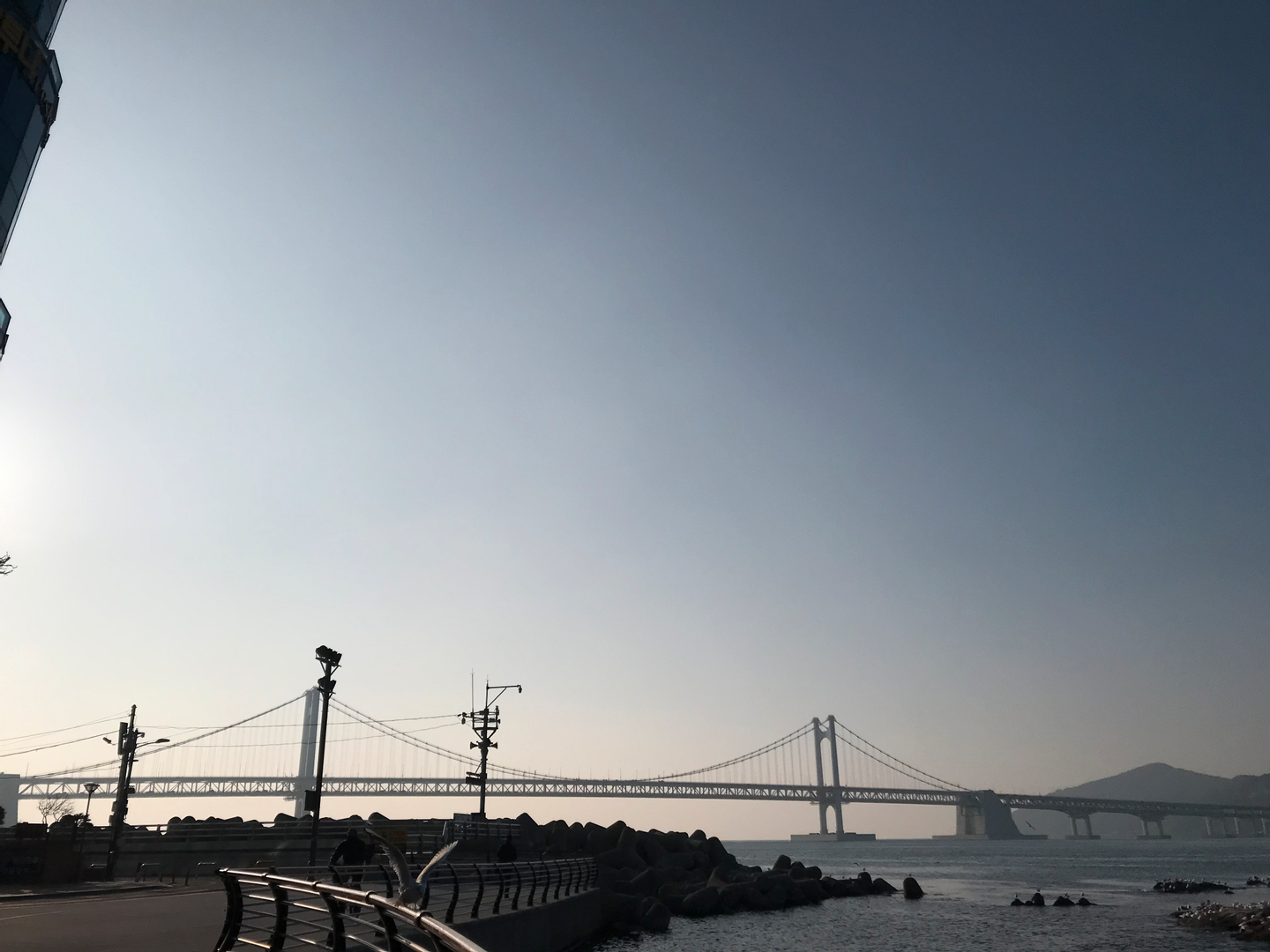 userImage-2