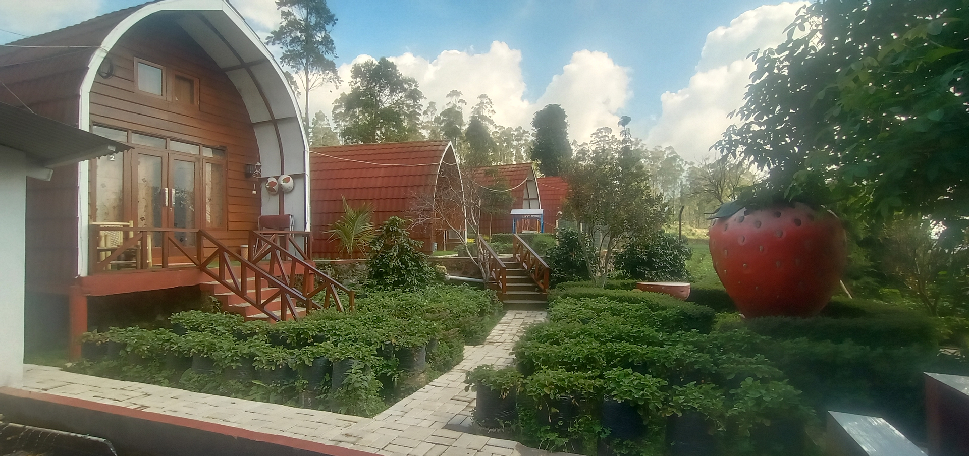 userImage-8