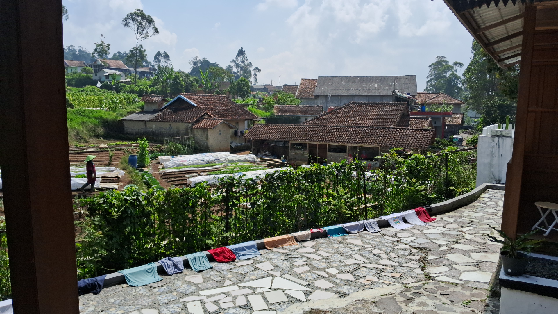 userImage-6