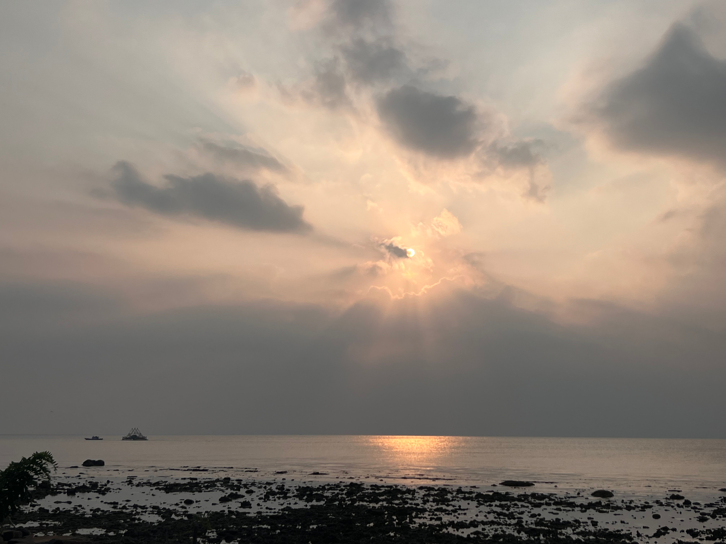 userImage-2