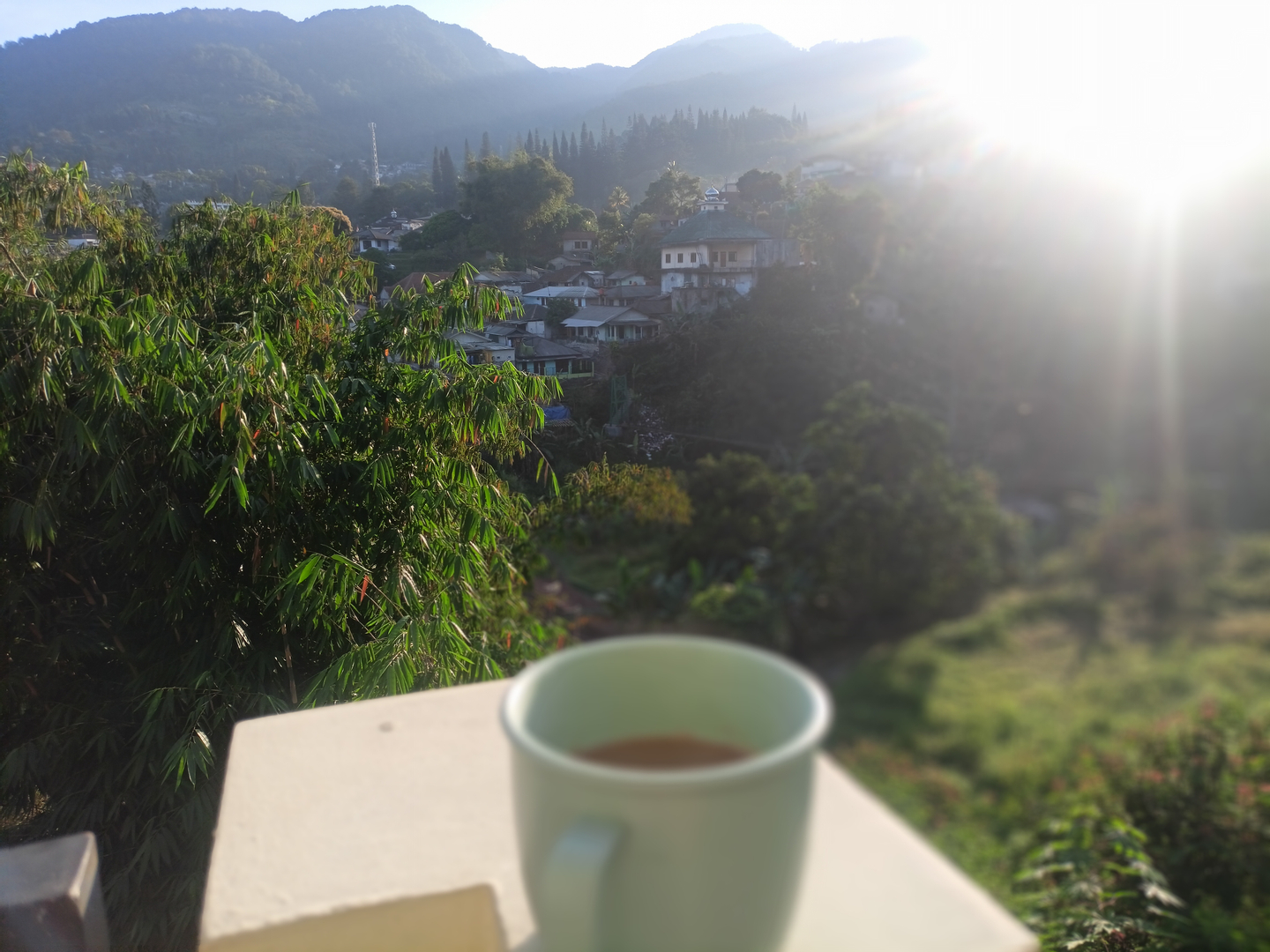 userImage-5